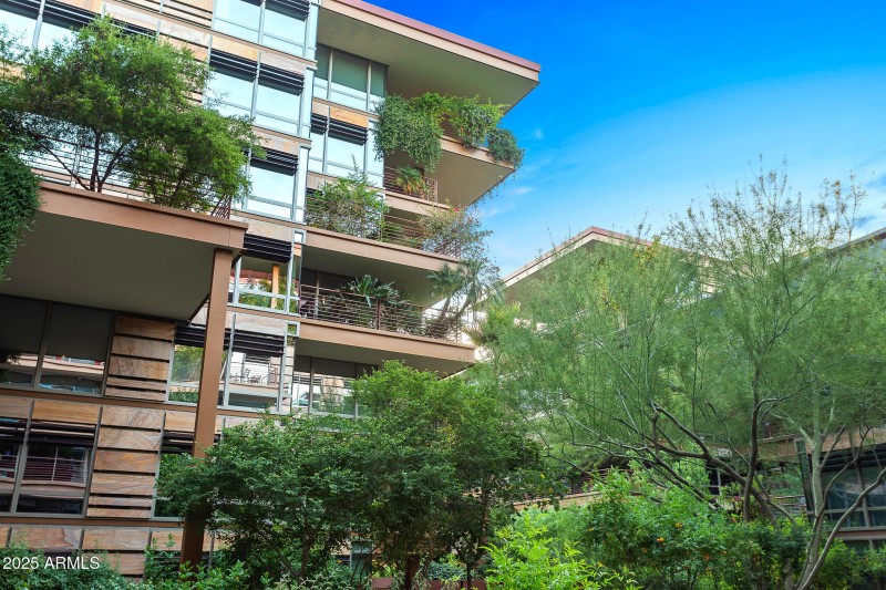 Optima Camelview Living