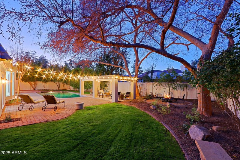 Grassy backyard