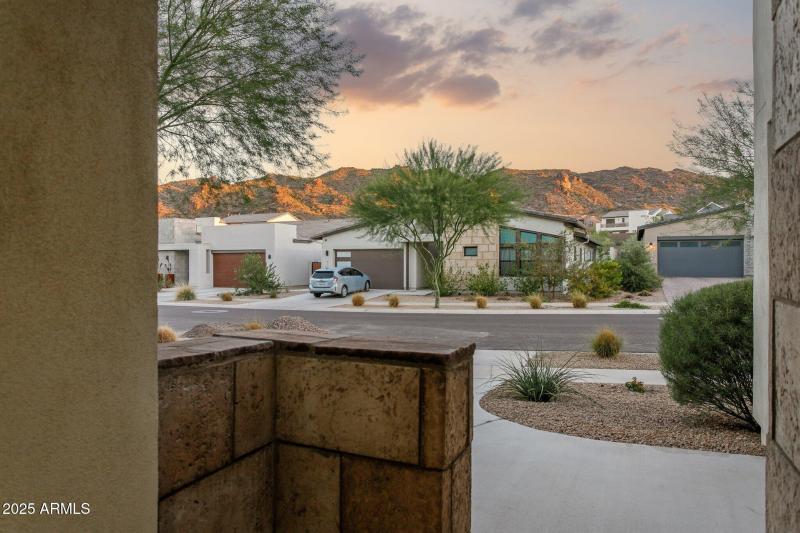 Natural desert beauty all around