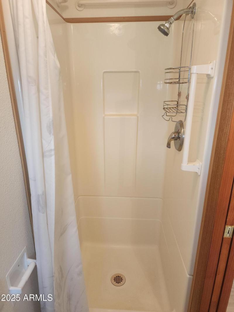 59. AZ toilet and walk-in shower.