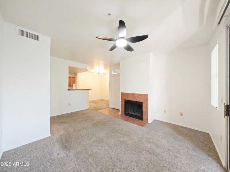 Living with the fireplace