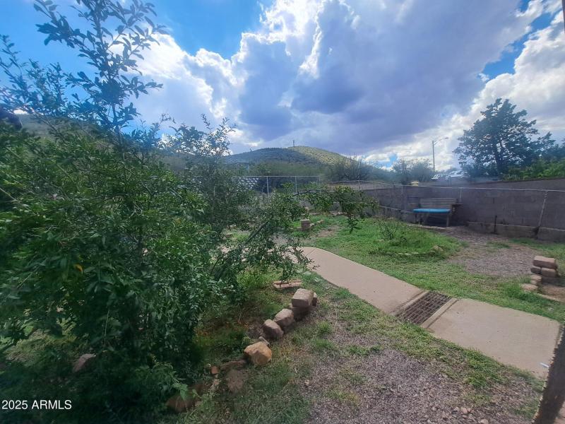 556620680_25062410673393566_591099175870