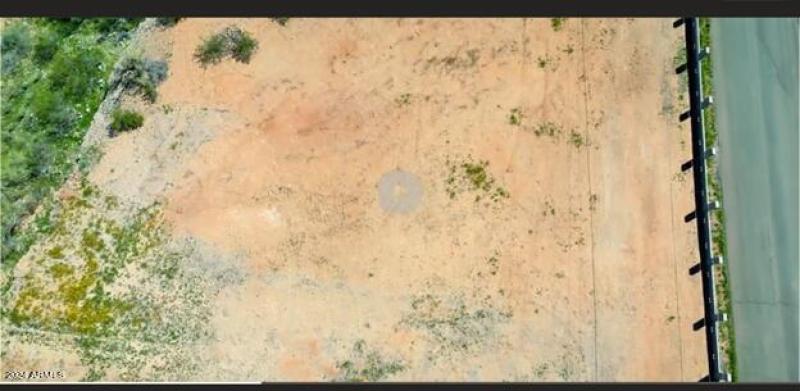 Picture1