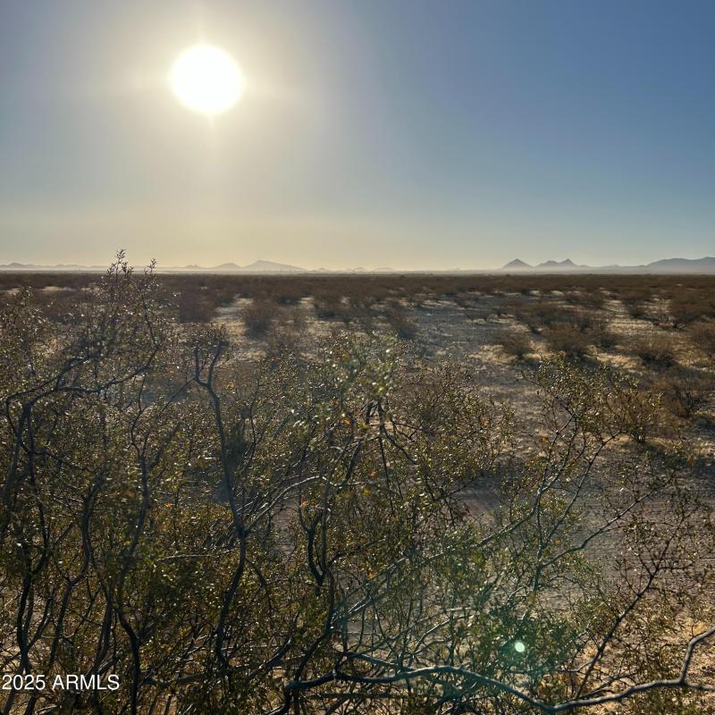 Desert Landscape