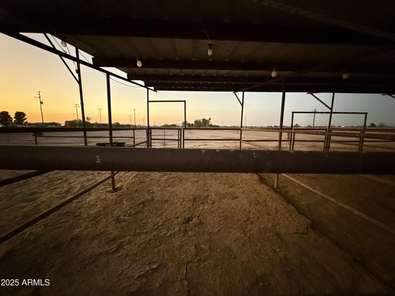 Photo Aug 08 2025, 7 42 42 PM