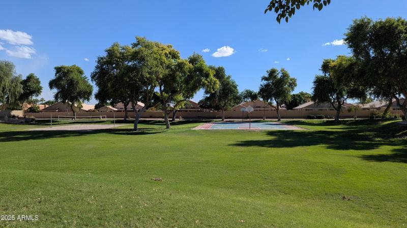 Commuinity park down the street from hou