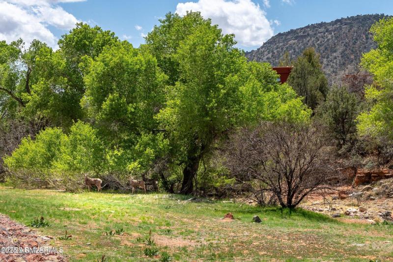 20250420182320290852000000-o