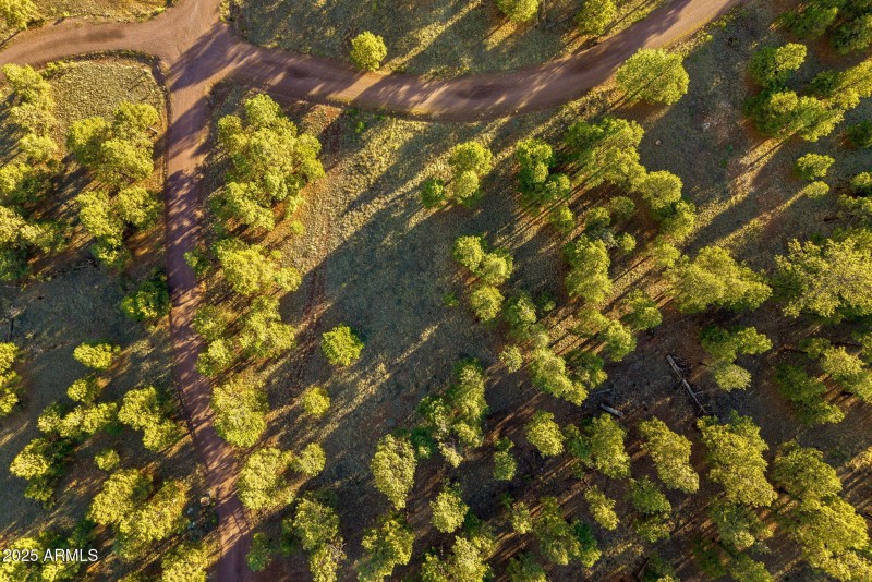 HMRParcel-Greer-AZ-5 (2)