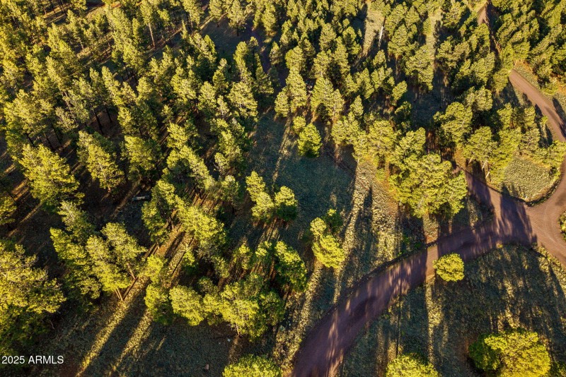 HMRParcel-Greer-AZ-12 (2)