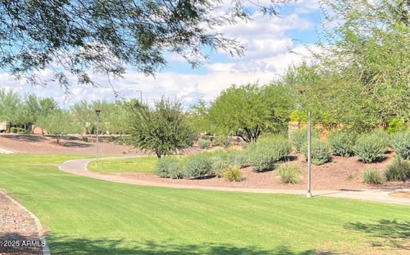 Common Area Behind Home