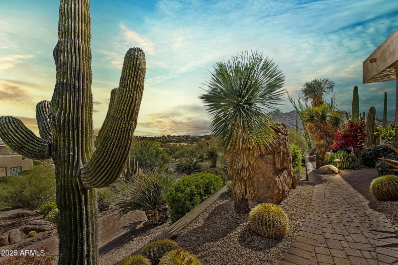 Saguaro and gorgeous landscaping