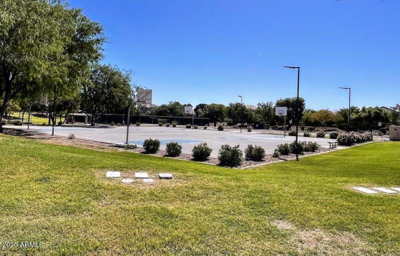 BasketBall Courts