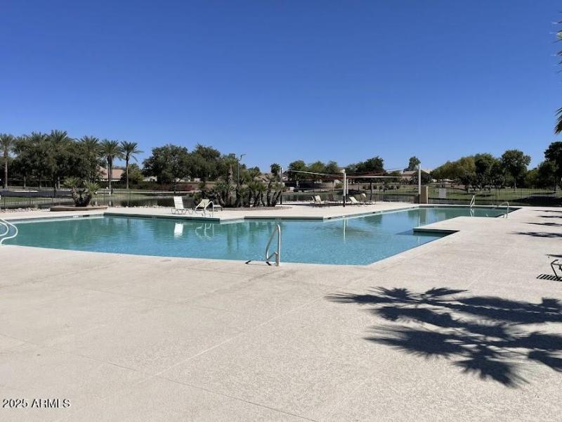Large Pool
