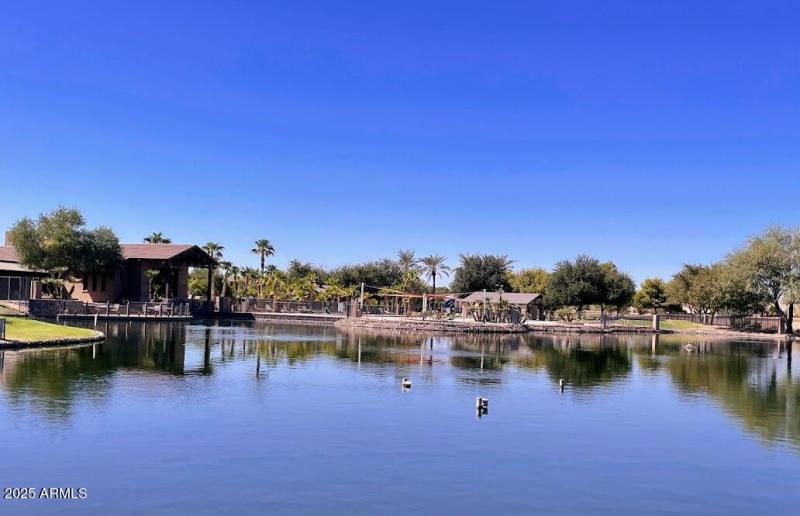 Main ponds