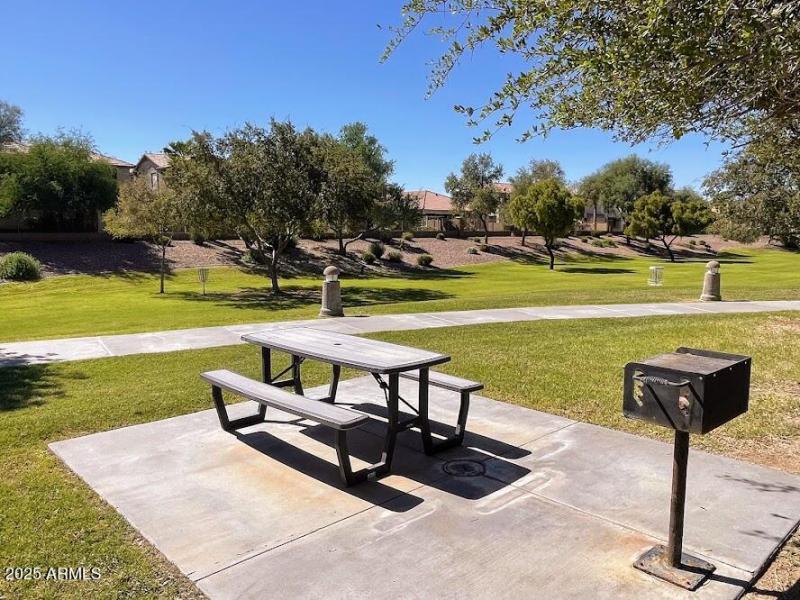 Park-Frisbee-Golf