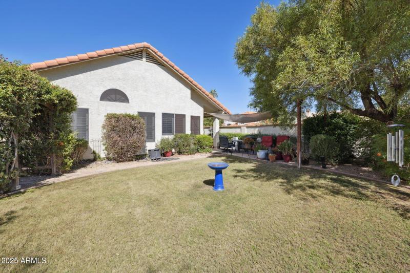 South backyard patio