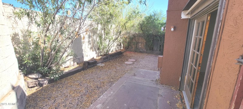 51st Back Yard