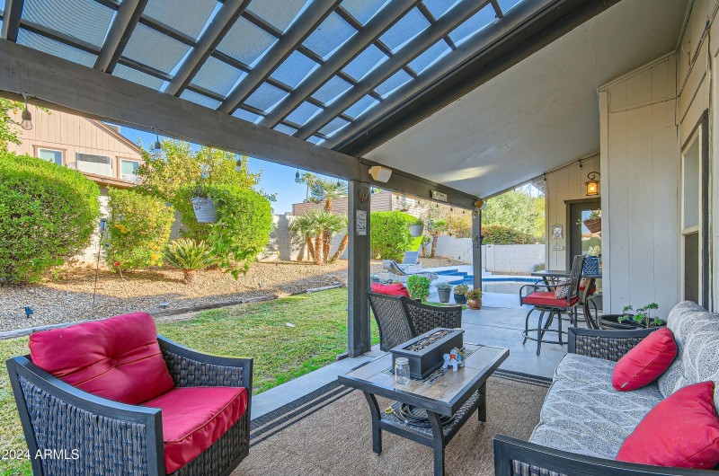 Lots of Grass for Fur Friend Fun