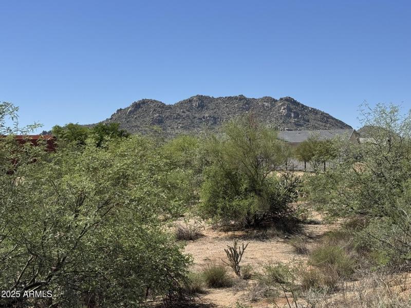 1+ Acre Lot