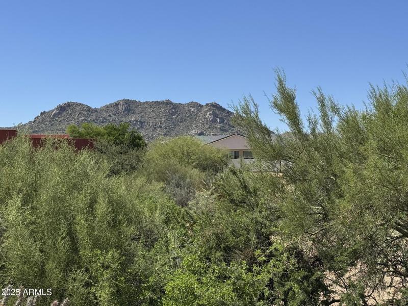 Mountain Views