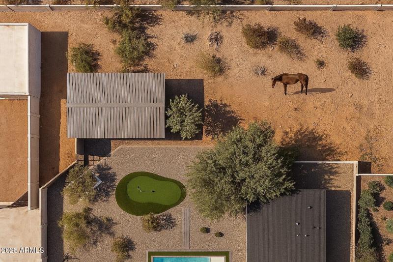 Virtual Equine Rendering