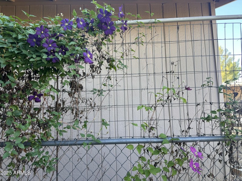 ....and flowers.....