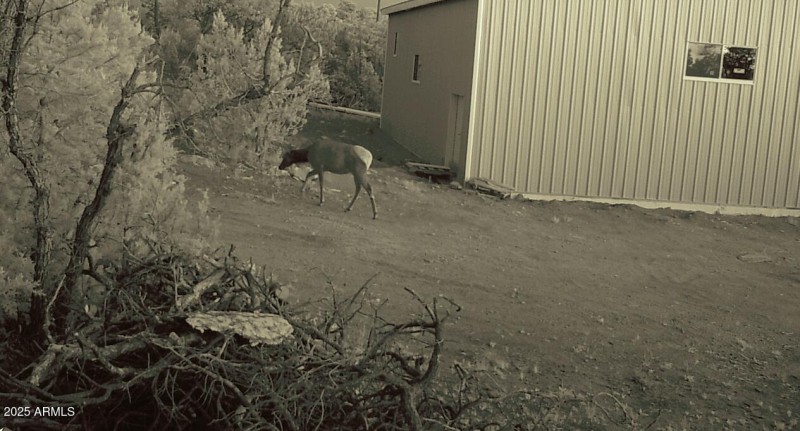 Happy Jack-Mogollon Ranch-Real Estate Ad