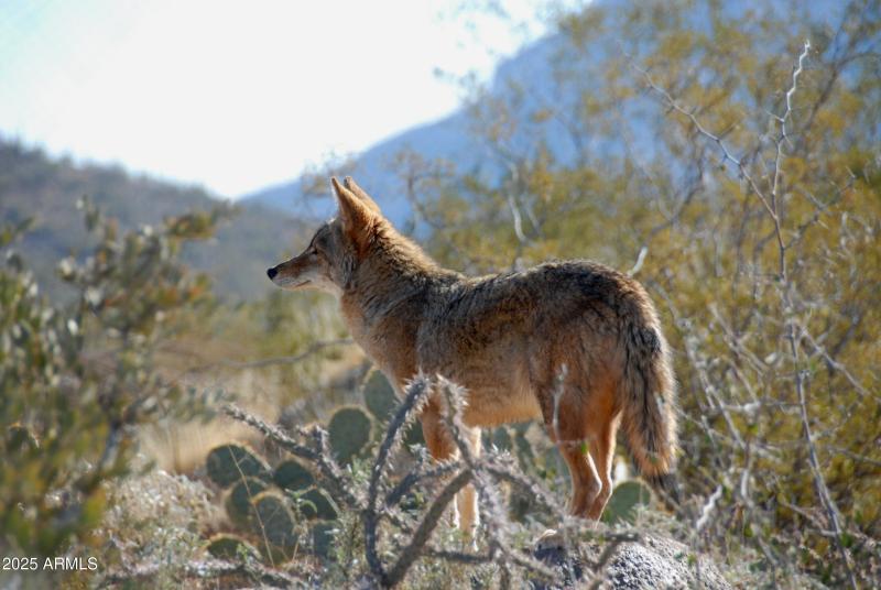 Unspoiled natural surroundings