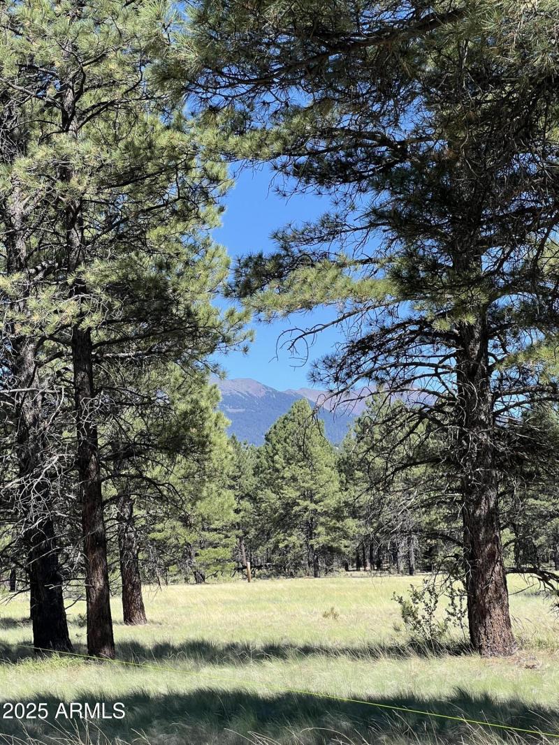 LOT 1 Image 6