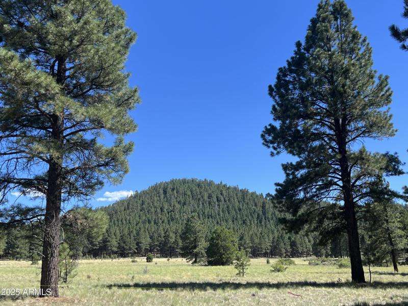 LOT 1 Image 5