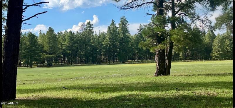 Kelly Canyon Estates - Summer Dreaming