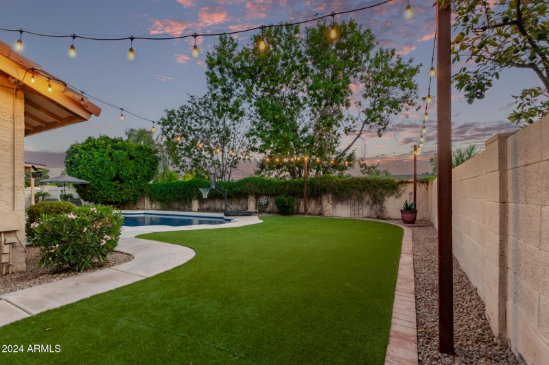 0046-46 Tamarisk 2555