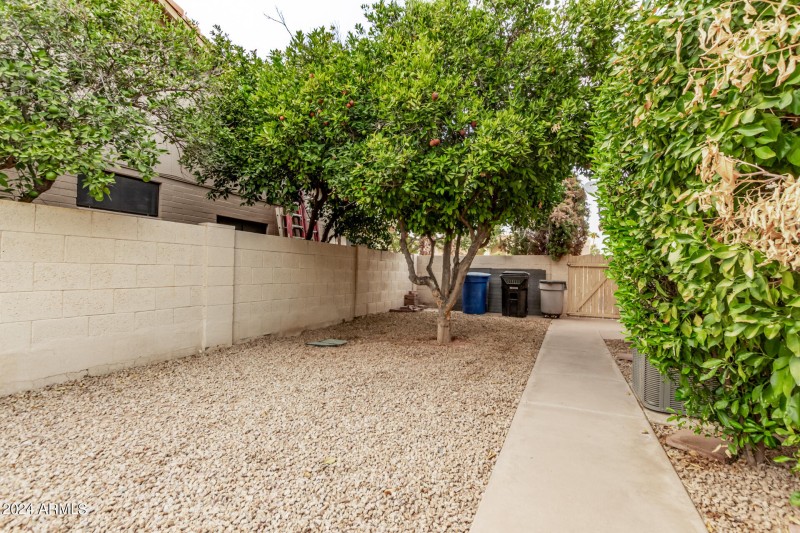 0054-54 Tamarisk 2555