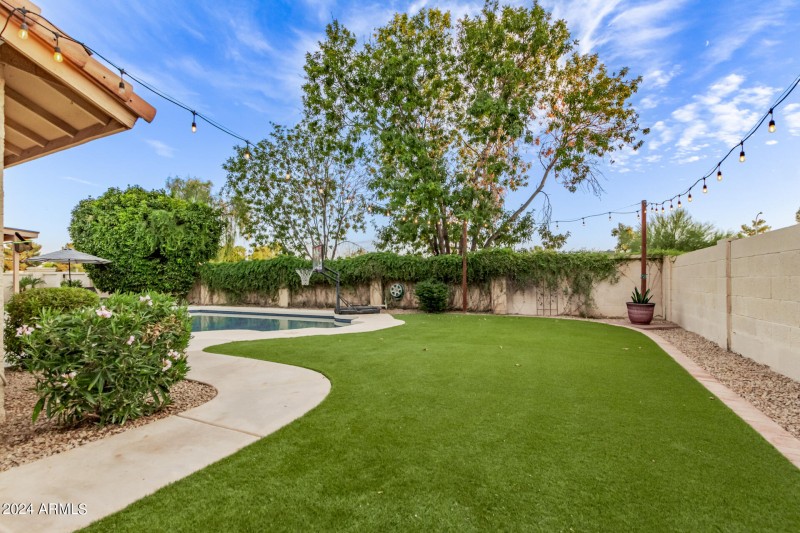 0055-55 Tamarisk 2555