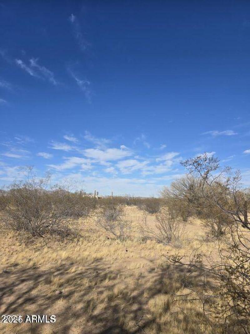 land photo 2