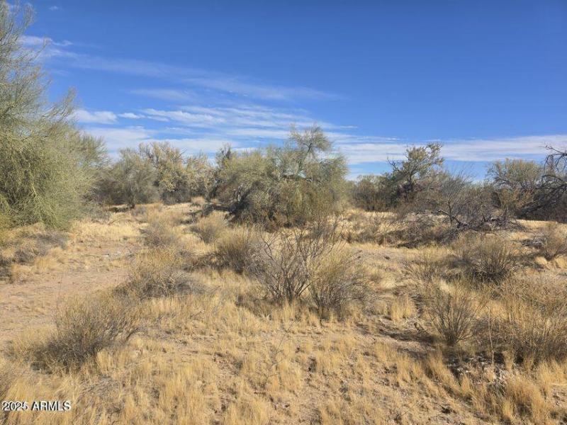 land photo 3