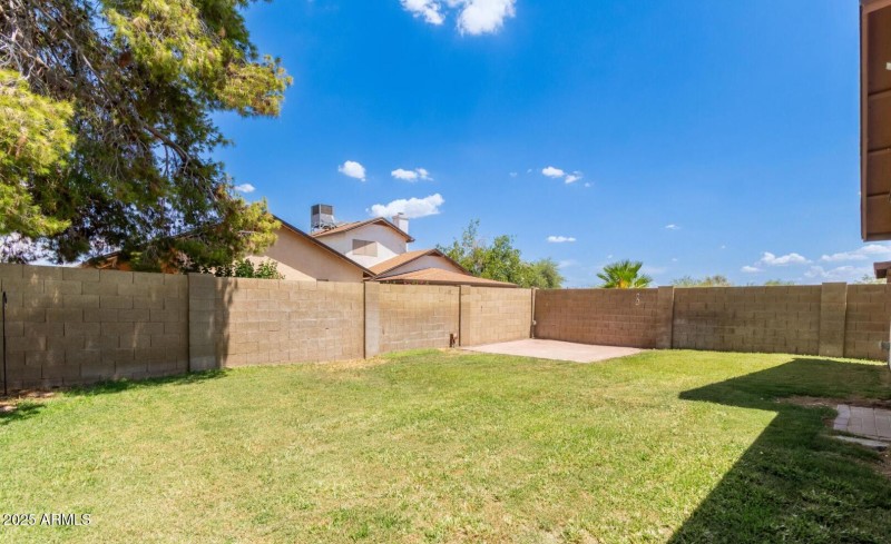 Back yard with wall