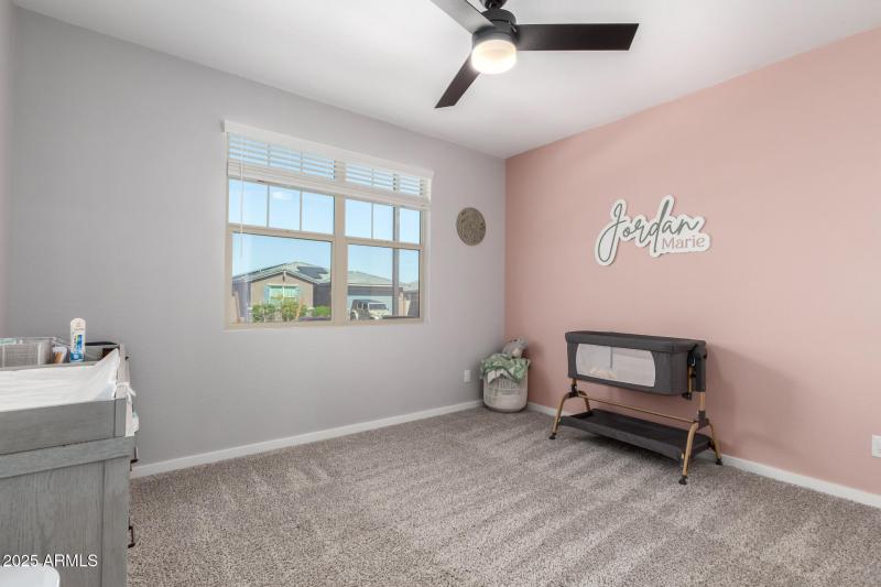 25 Palo Verde