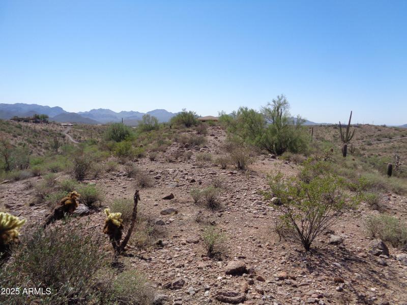 Landscape (1)