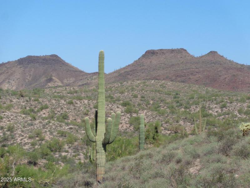 View from lot