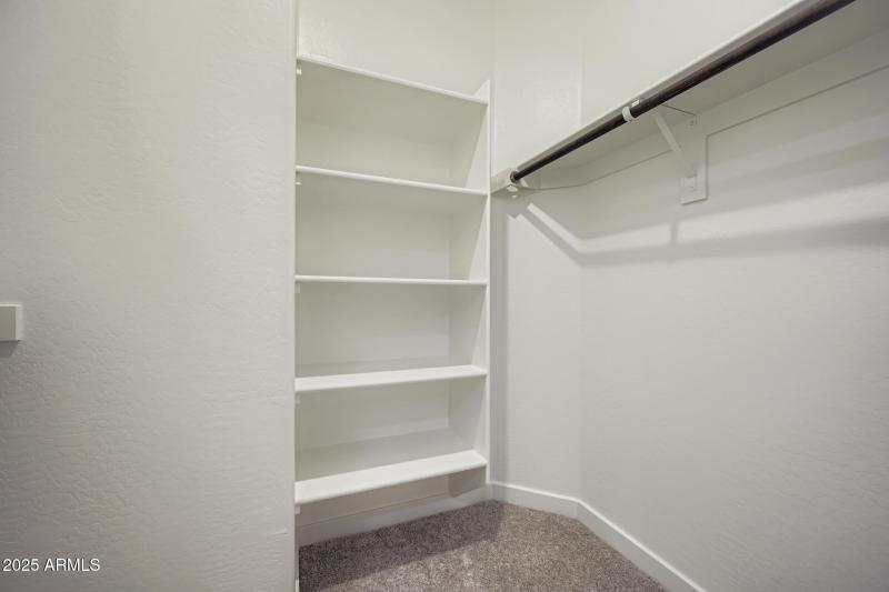 Owners Walk in Closet