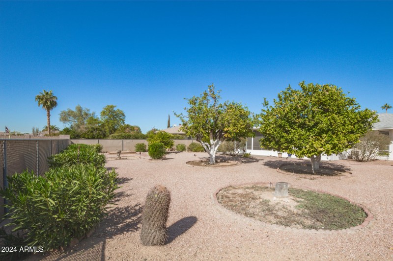 Back Yard 5