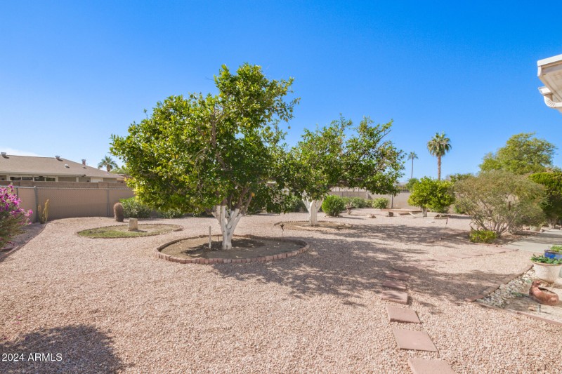 Back Yard 1