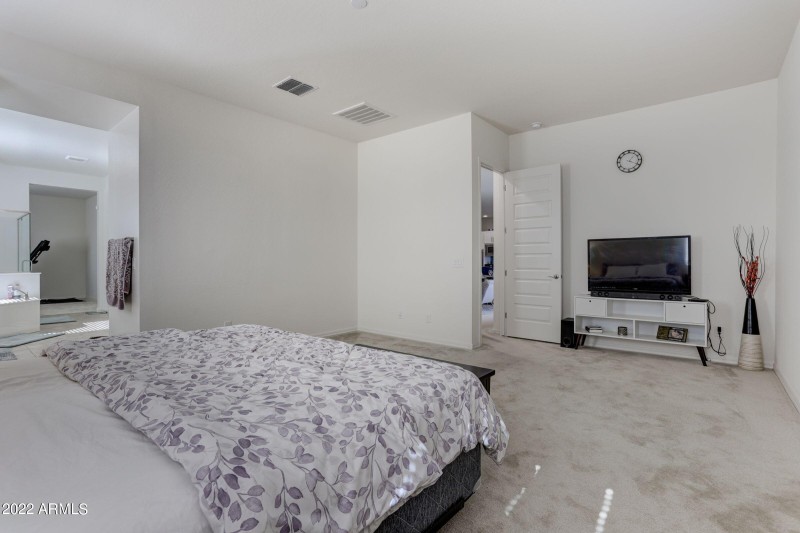 22533 N 93rd drive masterbedroom