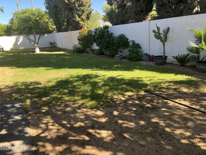 1st Ave Backyard