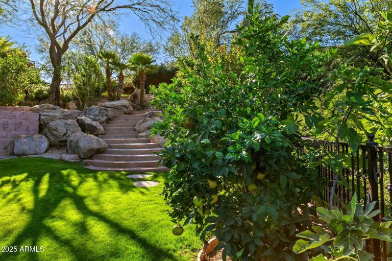Citrus Garden