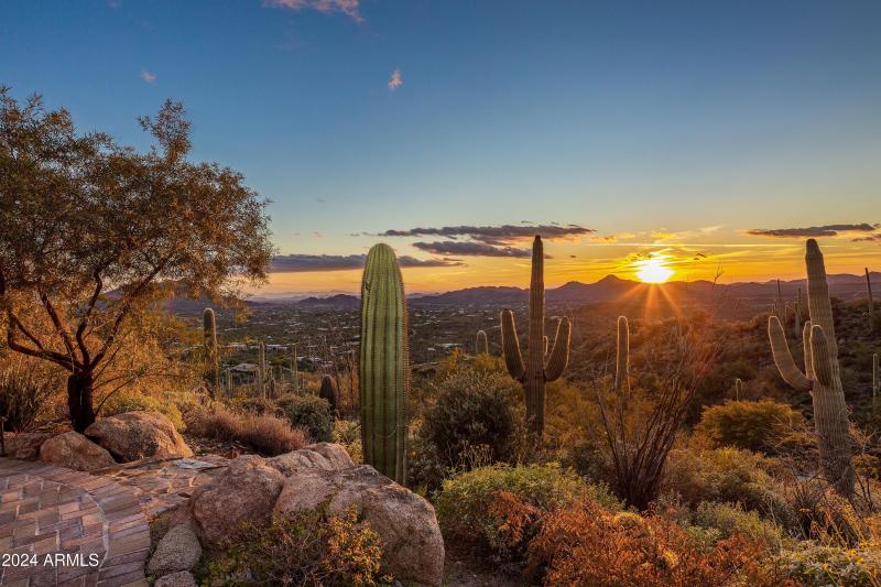 High Sonoran Desert
