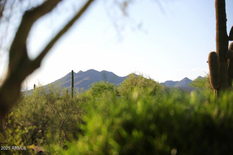 View of Black Mountain