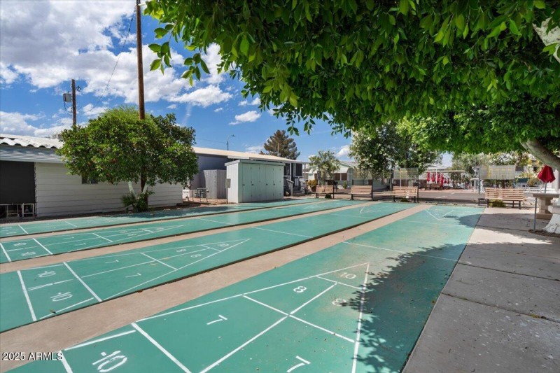 Shuffelboard