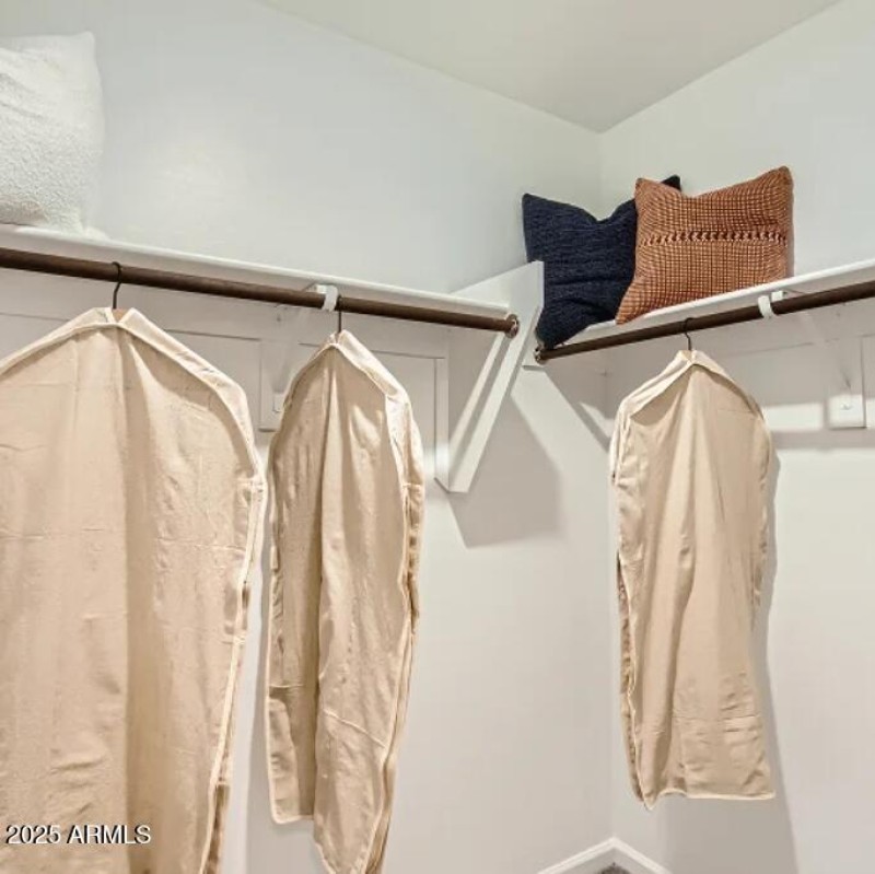 Owners Walk in Closet